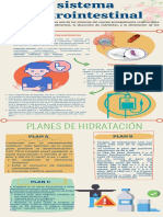 Sistema Gastrointestinal. Infografia