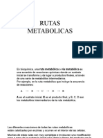 4 Rutas Metabolicas