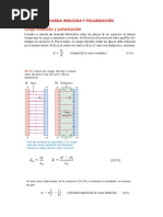 Carga Inducida y Polarización