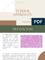 Presentación 1 - Tejidos Animales