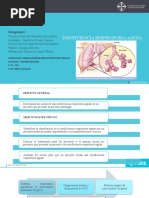 Insuficiencia Respiratoria Aguda Diapositivas @