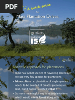 Plantations Guidelines