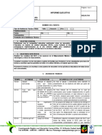 Formato D02 01 F04 Informe Ejecutivo