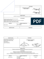 Planificacion Del Estilo Dorso