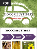 Biocombustible INFORME