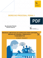 Dpp1medidas Limitativas de Derechos para Obtener