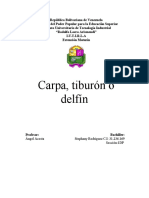 PDF Documento