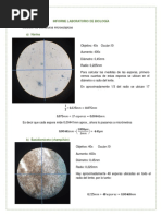 Informe Laboratorio de Biologí1