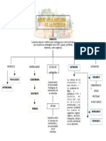 Mapa Conceptual de La Nutricion 2