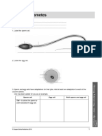 Stage 8 - Chapter 3 Worksheets