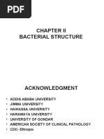 Chapter II Bacterial Structure