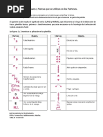 1 Claves y Marcas Que Se Utilizan en Los Patrones