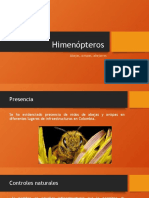 Heminopteros