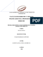 Pruebas Biogenéticas de Paternidad en Nuestra Legislación Peruana