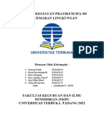 LAPORAN PRATIKUM IPA SD TENTANG Pencemaran Lingkungan