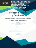 LAB1 - Determinacion de Naturaleza Quimica de Fibra Mediante Prueba de Combustion