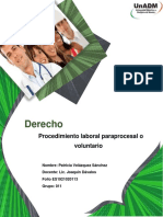 Derecho: Procedimiento Laboral Paraprocesal o Voluntario