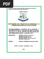 Informe de Practica Modular 1-SMITH HERRERA - Cultivo de Papa