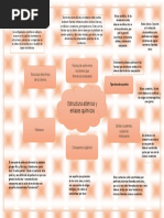 Meta 3.1 Mapa Mental