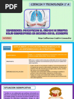 Enfermedades Respiratorias