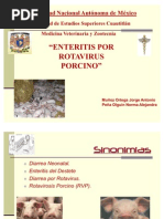 Enteritis Hemorragica Por Rotavirus