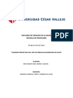 Modelo de Informe Proyectivo de Fábulas de Duss Individual