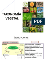 Taxonomía Vegetal