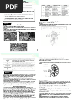 Gen Bio 2 Q4 LAS 4 Module 14