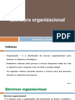 Estrutura Organizacional1