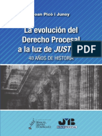 La Evolucion Del Derecho Procesal - Pico I Junoy, Joan