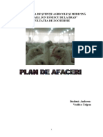 Plan de Afaceri