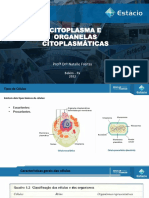 Aula 4 - Citoplasma e Organelas