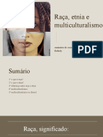 Raça, Etnia e Multiculturalismo: Seminário de Sociologia, Professora Rafaely