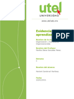 Evidencia de Aprendizaje Organización y Estructuras Organizacionales Semana 2