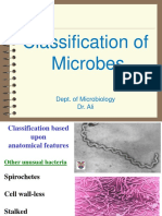 Classification of Microbes 3 D Class