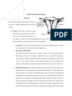 Anatomy and Physiology - Ectopic