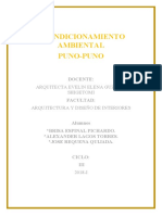 Informe Final Puno