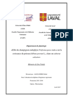 E Ffet de Champignons Endophytes