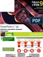 Sistema Reprodutor Humano (Doenças)