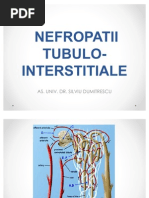 Curs 2 Nefropatii Tubulo-Interstitiale