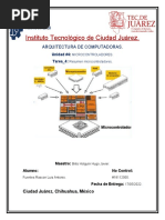 Tarea Unidad 4. Resumen Microcontroladores