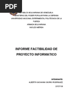 Informe de Analisis de Factibilidad Empresa