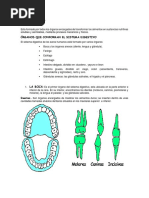 Sistema Digestv