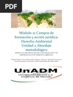 Módulo 21 Campos de Formación y Acción Jurídica: Derecho Ambiental Unidad 2 Abordaje Metodológico