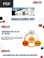 Inducción SST Delta