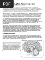 Understanding The Stress Response