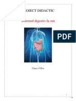 Digestia Gastrica Si Intestinala