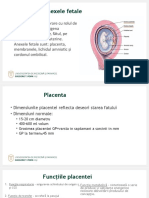 C4. Anexe Fetale Patologice