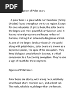 A Brief Description of Polar Bears