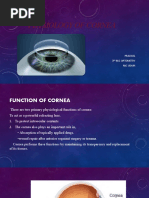 Corneal Physiology.